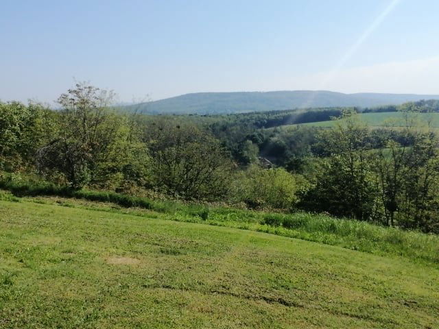 Eladó mezogazdasagi ingatlan, Sényén 45 M Ft