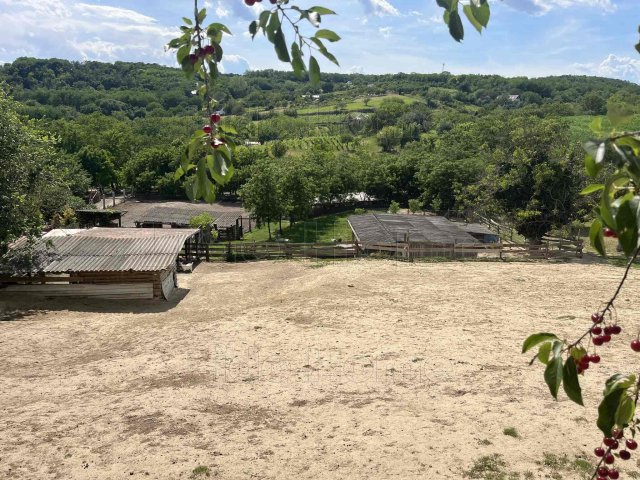 Eladó mezogazdasagi ingatlan, Ságváron 17.9 M Ft, 2 szobás