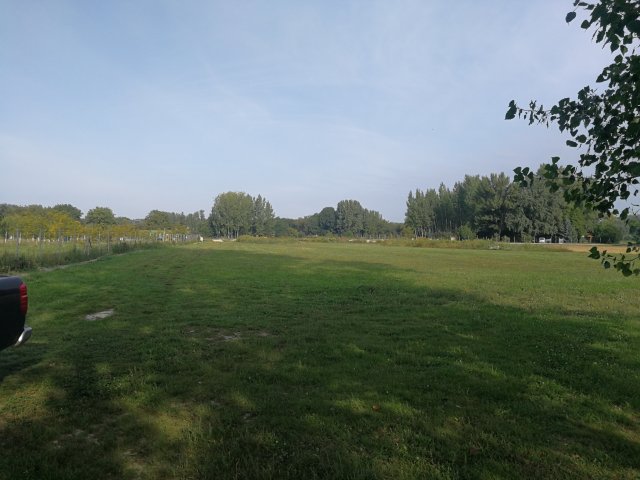 Eladó telek, Dunaszigeten 79 M Ft / költözzbe.hu