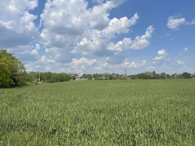 Eladó telek, Tárnokon 38.5 M Ft / költözzbe.hu