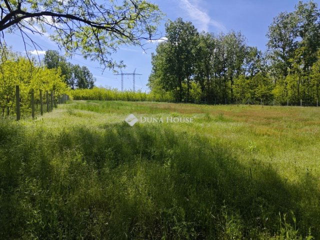 Eladó telek, Gödöllőn 16.5 M Ft / költözzbe.hu