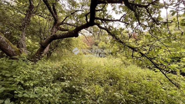 Eladó telek, Szombathelyen 6.9 M Ft / költözzbe.hu