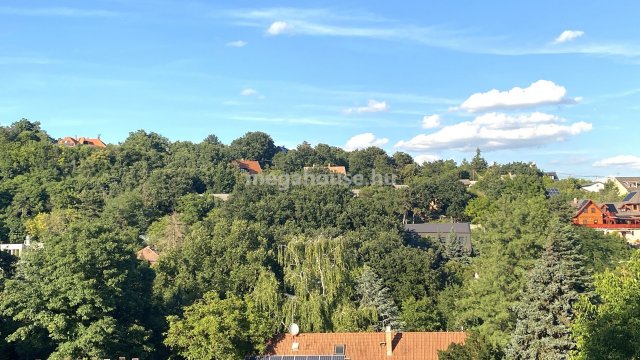 Eladó ikerház, Diósdon 272.5 M Ft, 5 szobás