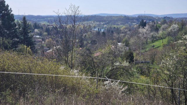 Eladó telek, Pogányon 3 M Ft / költözzbe.hu