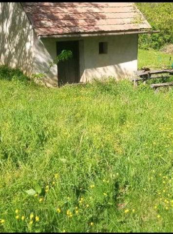 Eladó mezogazdasagi ingatlan, Gamáson 3.5 M Ft