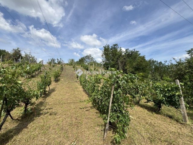 Eladó telek, Nyergesújfaluban 4.9 M Ft / költözzbe.hu