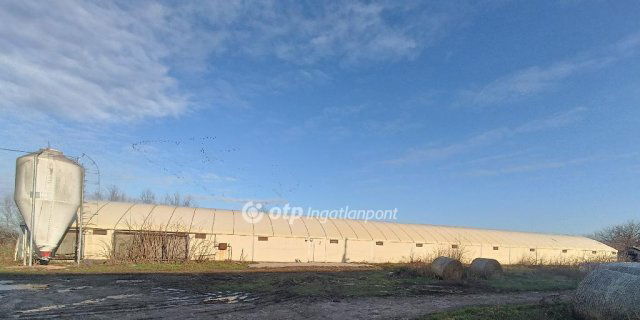 Eladó mezogazdasagi ingatlan, Csőszön 298 M Ft