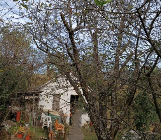 Eladó telek, Ságváron 7.3 M Ft / költözzbe.hu