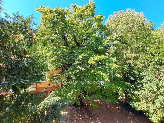 Eladó téglalakás, Kecskeméten 73.5 M Ft, 3 szobás