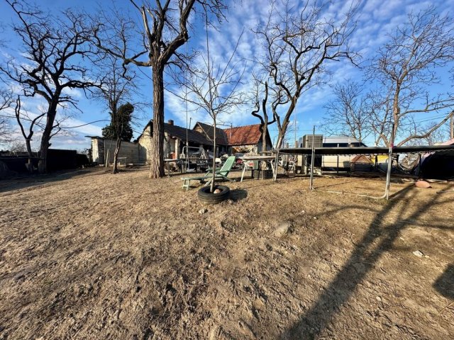 Eladó telek, Délegyházán 64.99 M Ft / költözzbe.hu