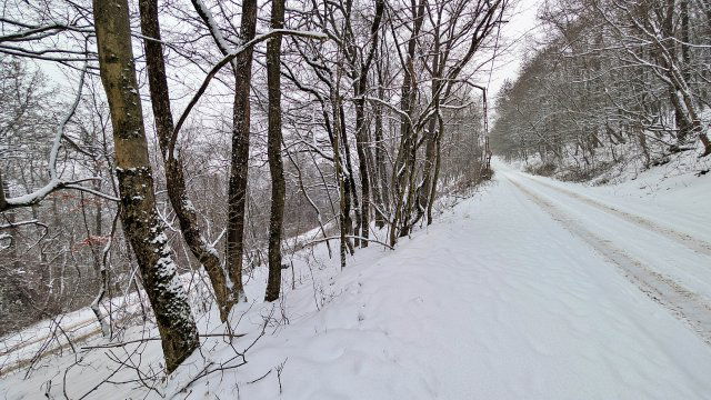 Eladó telek, Kismaroson 19.9 M Ft / költözzbe.hu