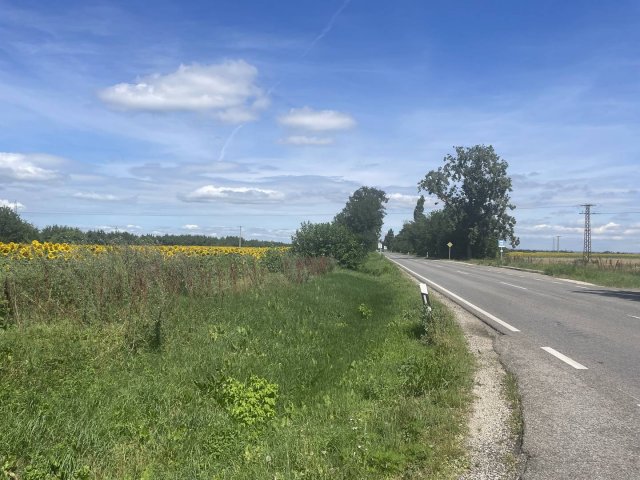 Eladó mezogazdasagi ingatlan, Székesfehérvárott 69 M Ft