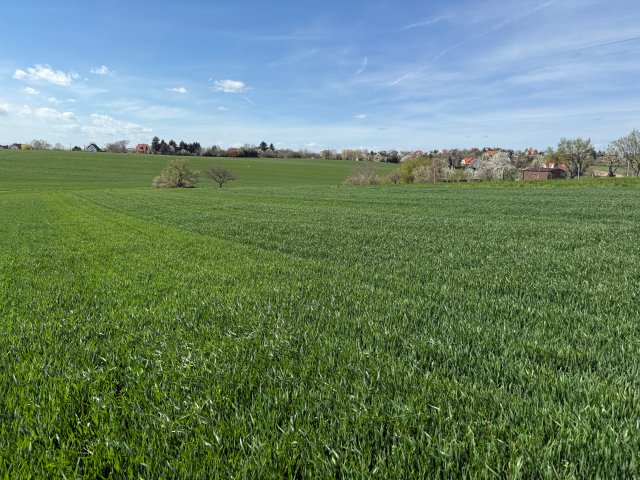 Eladó telek, Cserszegtomajon 17.5 M Ft / költözzbe.hu