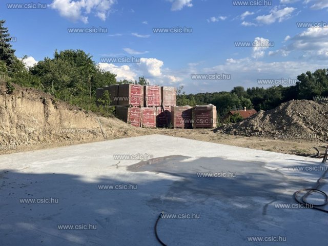 Eladó családi ház, Szentendrén 149 M Ft, 6 szobás