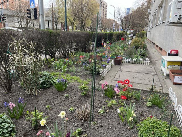 Eladó panellakás, Budapesten, XIV. kerületben 62.9 M Ft, 2 szobás