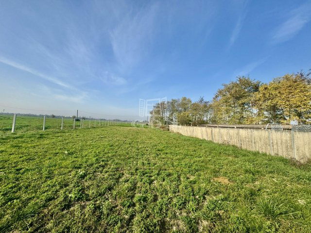 Eladó mezogazdasagi ingatlan, Mohácson 3.9 M Ft, 1 szobás