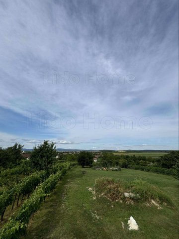 Eladó mezogazdasagi ingatlan, Etyeken 170 M Ft