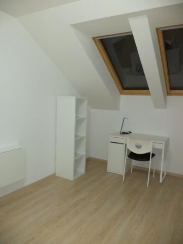 Kiadó téglalakás, albérlet, Pécsett, Király utcában, 1 szobás