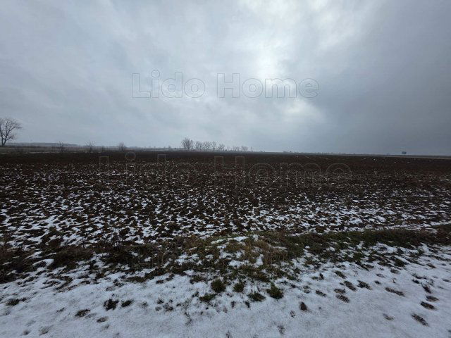 Eladó mezogazdasagi ingatlan, Peresztegen 2.5 M Ft