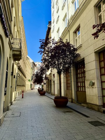 Eladó téglalakás, Budapesten, V. kerületben 129.9 M Ft, 4 szobás