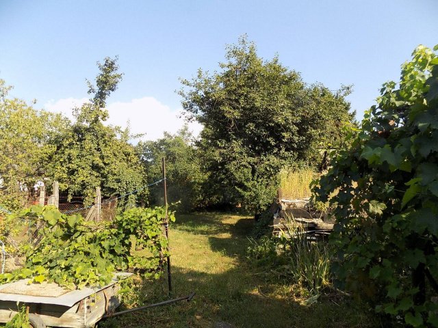 Eladó családi ház, Pápán 29.9 M Ft, 3 szobás