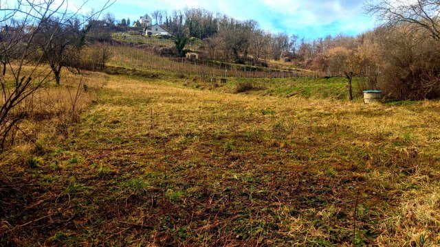 Eladó mezogazdasagi ingatlan, Lesencetomajon 3.1 M Ft