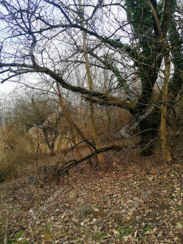 Eladó telek, Nagykapornakon 3.4 M Ft / költözzbe.hu