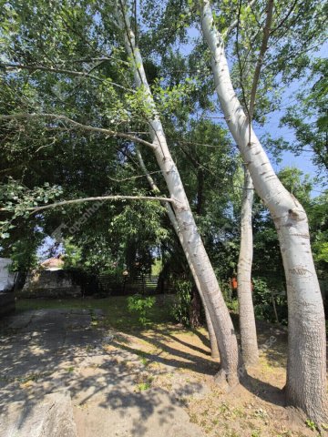 Eladó családi ház, Sülysápon 59.9 M Ft, 5 szobás