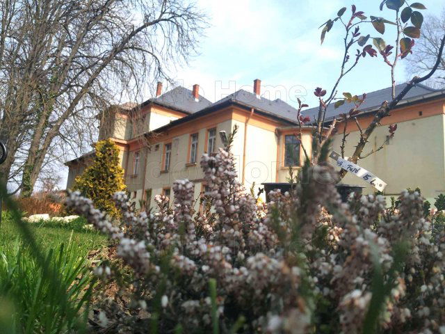 Eladó családi ház, Balatonfűzfőn 830 M Ft, 20 szobás