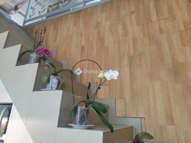 Eladó családi ház, Dunaharasztin 109.9 M Ft, 7 szobás