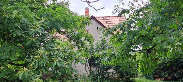 Eladó nyaraló, Zalaújlakon 7.9 M Ft, 3 szobás