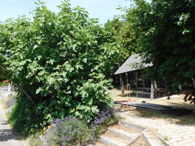 Eladó családi ház, Vonyarcvashegyen 73.5 M Ft, 3+1 szobás