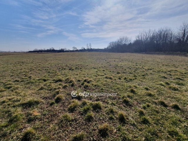 Eladó telek, Nyékládházán 10 M Ft / költözzbe.hu