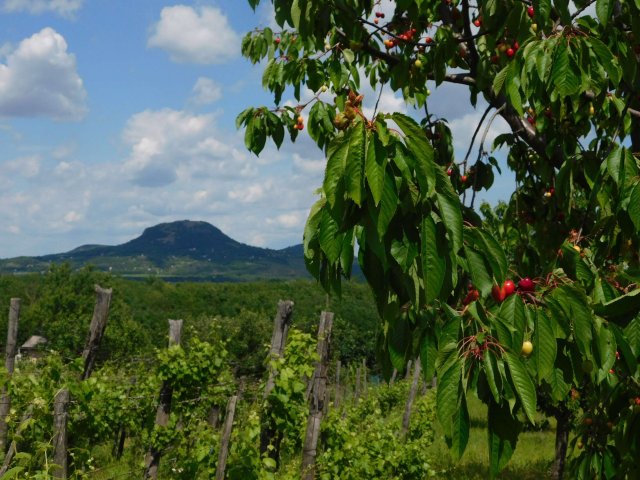 Eladó nyaraló, Kisapátiban 22.9 M Ft, 2 szobás