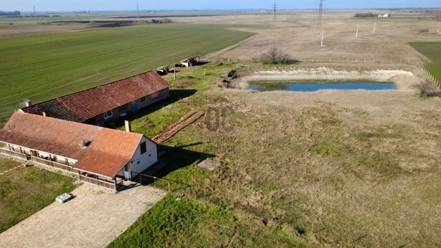 Eladó családi ház, Tiszaalpáron 66 M Ft, 3 szobás