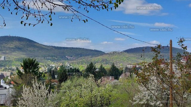 Kiadó családi ház, albérlet, Budapesten, II. kerületben