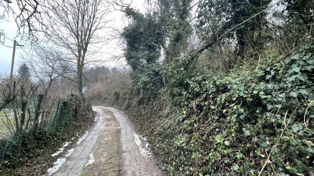 Eladó mezogazdasagi ingatlan, Nyúlon 19.5 M Ft