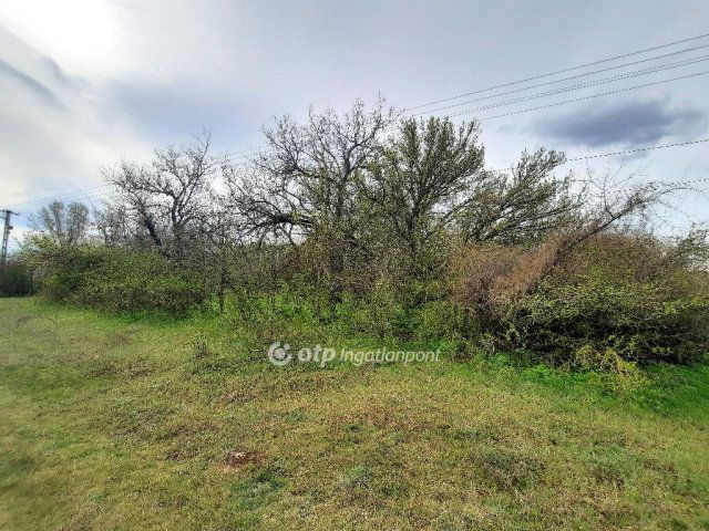 Eladó telek, Csévharaszton 19.99 M Ft / költözzbe.hu