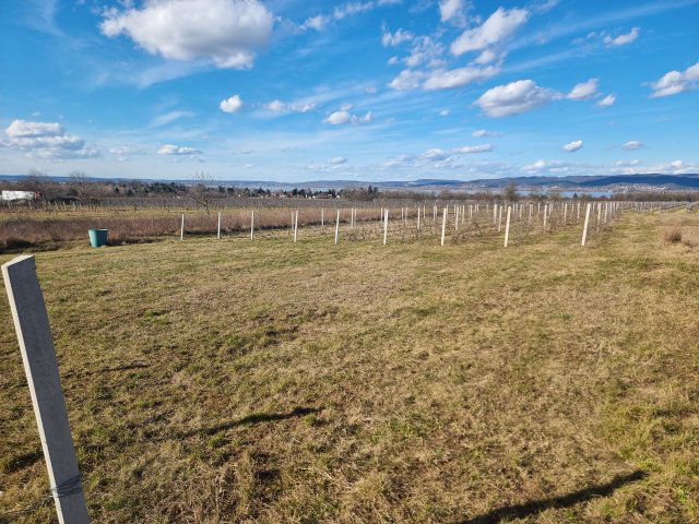 Eladó telek, Balatonberényben 14.9 M Ft / költözzbe.hu