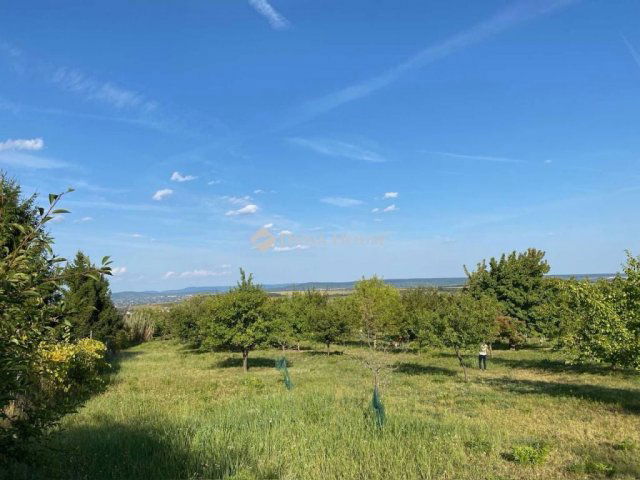 Eladó telek, Etyeken 49 M Ft / költözzbe.hu