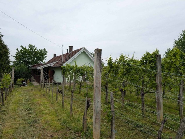 Eladó nyaraló, Csapiban 10.9 M Ft, 2 szobás