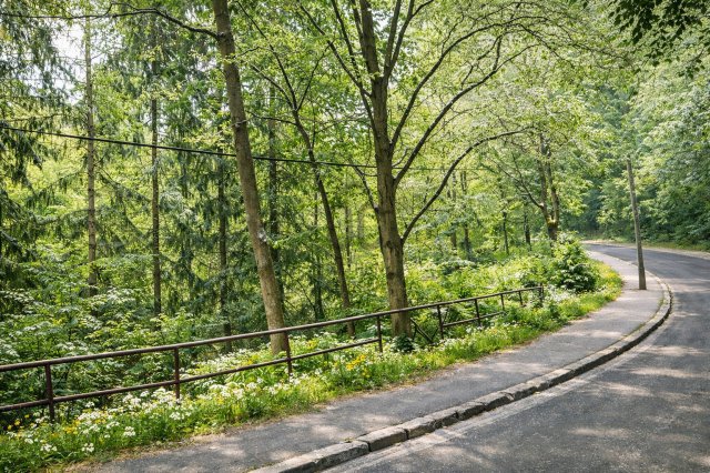 Eladó telek, Budapesten, XII. kerületben 680 M Ft