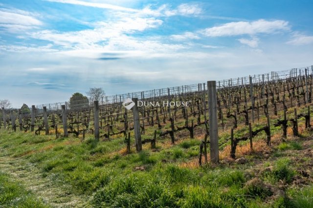 Eladó mezogazdasagi ingatlan, Bodrogkeresztúron 46.5 M Ft