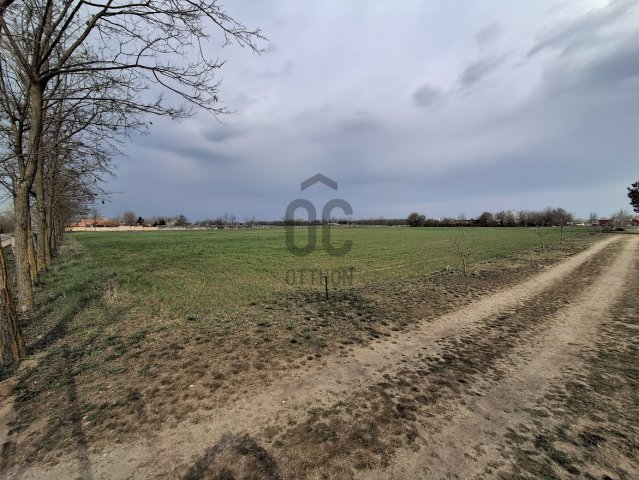 Eladó mezogazdasagi ingatlan, Cegléden 11.9 M Ft