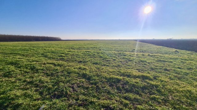 Eladó mezogazdasagi ingatlan, Szolnokon 4 M Ft