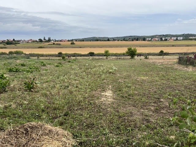 Eladó családi ház, Sásdon 16.5 M Ft, 3 szobás