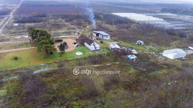 Eladó mezogazdasagi ingatlan, Dánszentmiklóson 124 M Ft