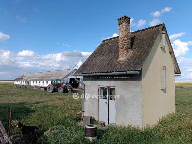 Eladó mezogazdasagi ingatlan, Polgáron 350 M Ft