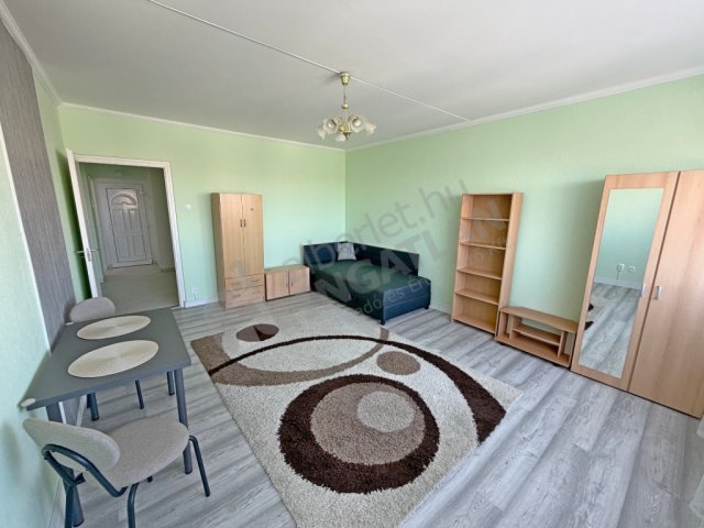 Kiadó panellakás, albérlet, IX. kerületben, Pöttyös utcában