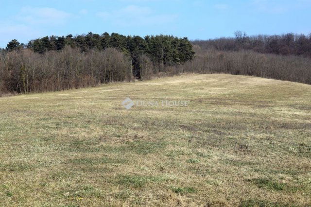 Eladó telek, Alsónemesapátiban 55 M Ft / költözzbe.hu